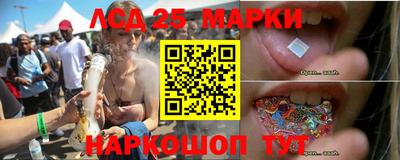 скорость Дубна