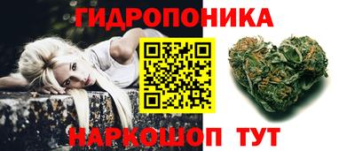 скорость Дубна