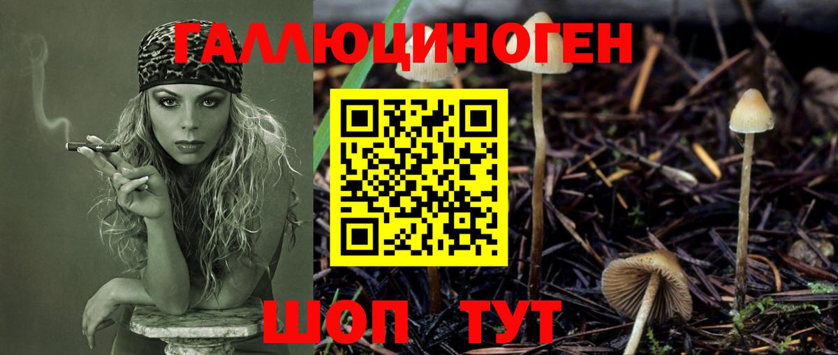 Кострома  Галлюциногенные грибы GOLDEN TEACHER  Вход с VPN 
